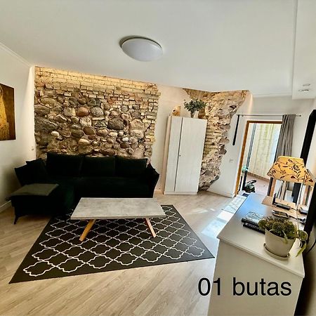 Six Apartment Simona วิลนีอุส ภายนอก รูปภาพ